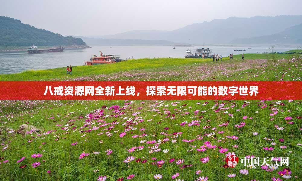 八戒资源网全新上线，探索无限可能的数字世界