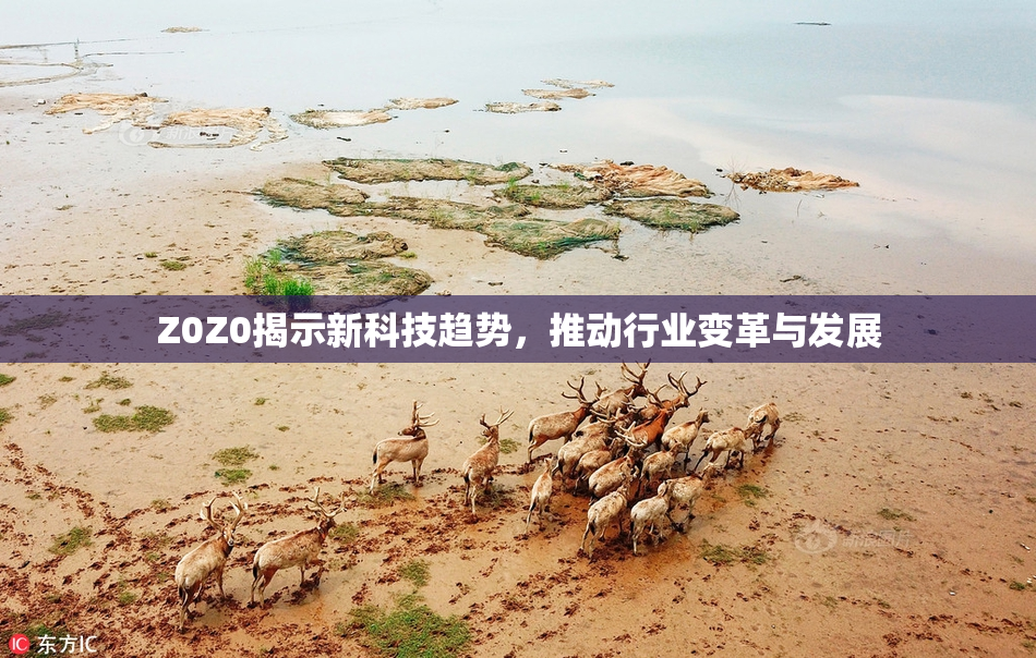 Z0Z0揭示新科技趋势，推动行业变革与发展