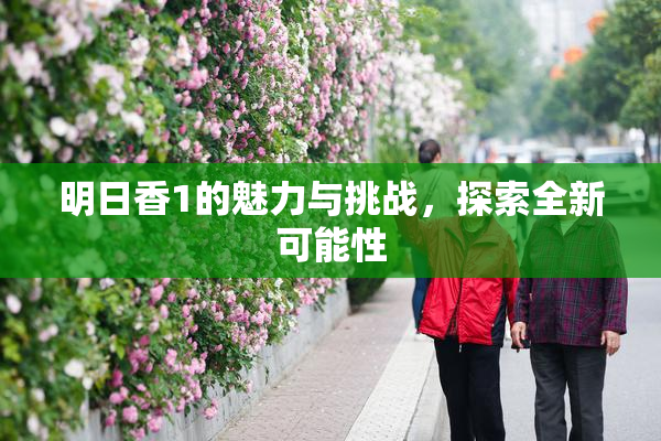 明日香1的魅力与挑战，探索全新可能性