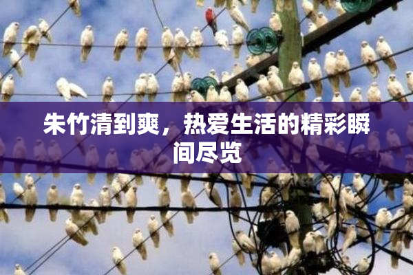 朱竹清到爽，热爱生活的精彩瞬间尽览