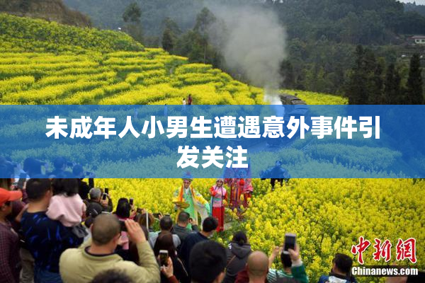 未成年人小男生遭遇意外事件引发关注