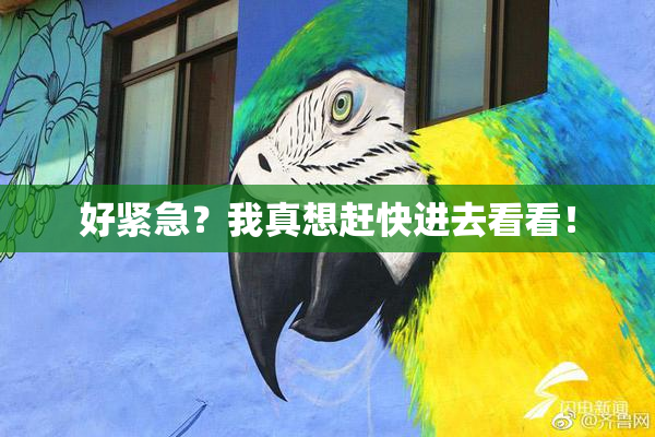 好紧急？我真想赶快进去看看！