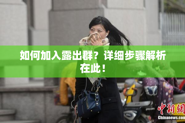 如何加入露出群？详细步骤解析在此！