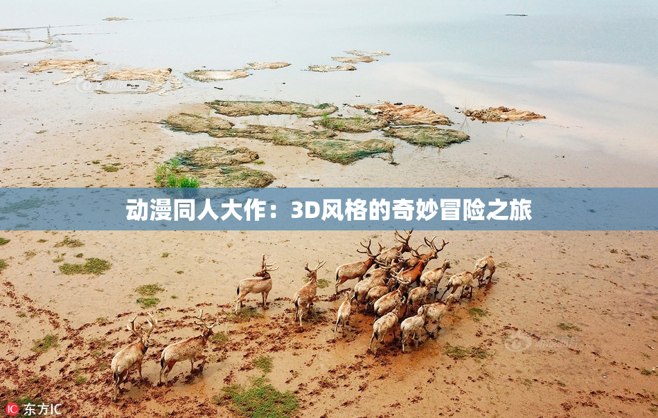 动漫同人大作：3D风格的奇妙冒险之旅