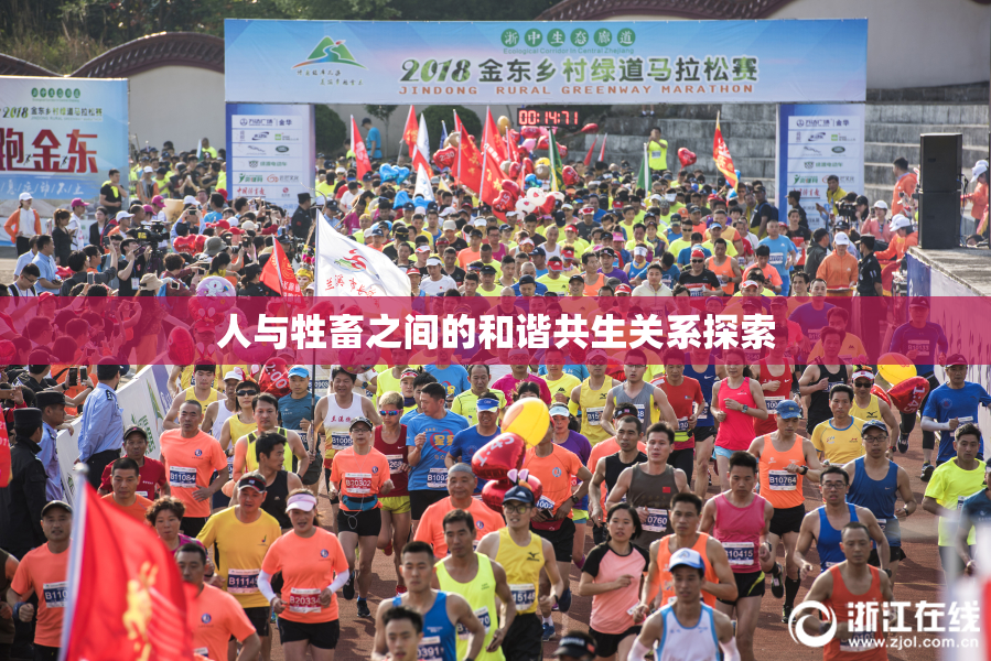 人与牲畜之间的和谐共生关系探索