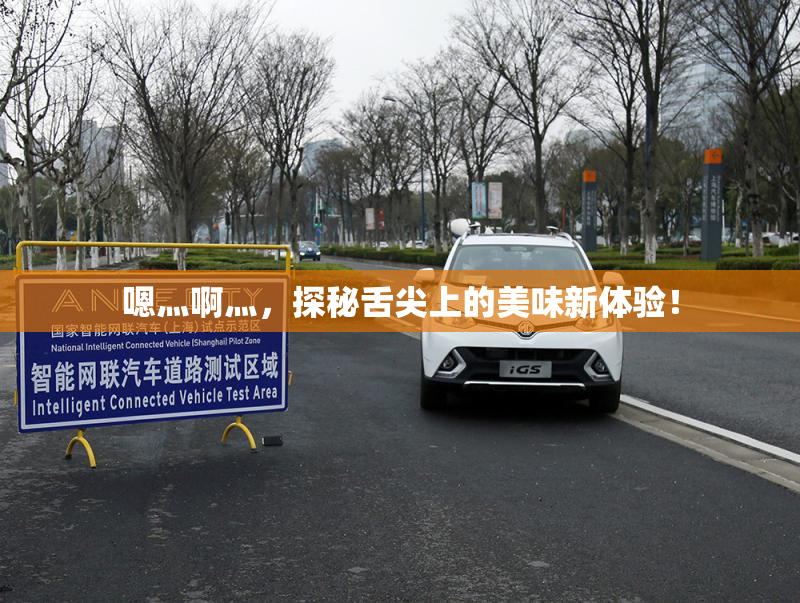 嗯灬啊灬，探秘舌尖上的美味新体验！