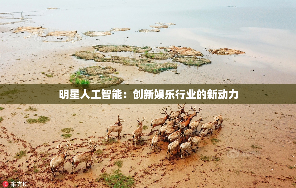 明星人工智能：创新娱乐行业的新动力