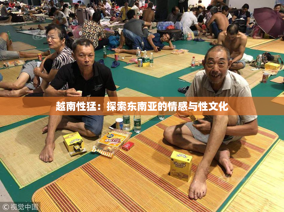 越南性猛：探索东南亚的情感与性文化