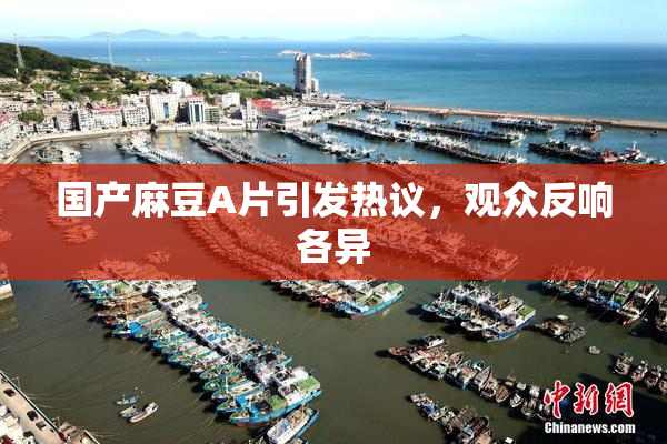 国产麻豆A片引发热议，观众反响各异