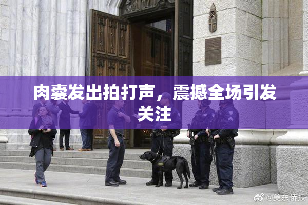 肉囊发出拍打声，震撼全场引发关注