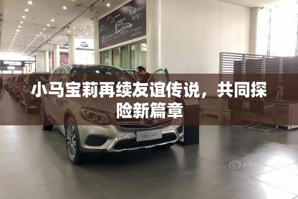 小马宝莉再续友谊传说，共同探险新篇章