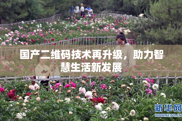 国产二维码技术再升级，助力智慧生活新发展