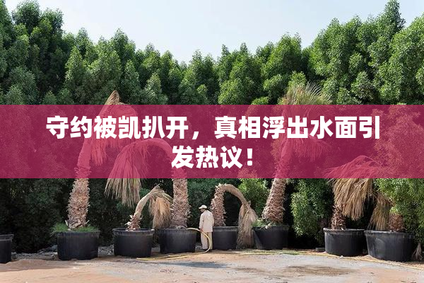 守约被凯扒开，真相浮出水面引发热议！