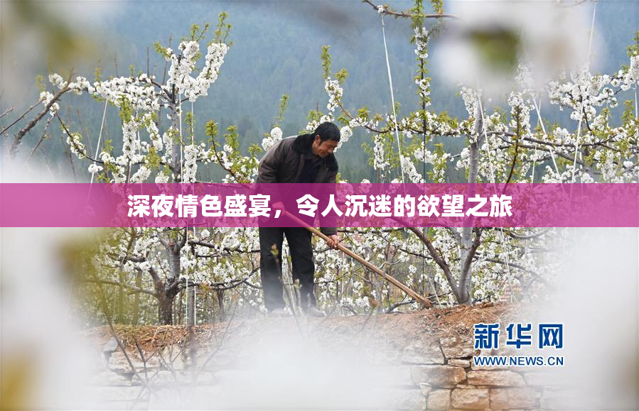 深夜情色盛宴，令人沉迷的欲望之旅