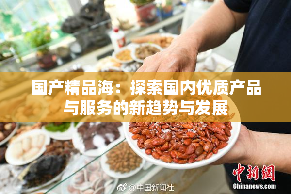 国产精品海：探索国内优质产品与服务的新趋势与发展