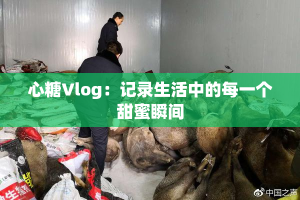 心糖Vlog：记录生活中的每一个甜蜜瞬间