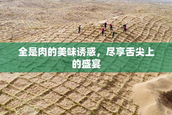 全是肉的美味诱惑，尽享舌尖上的盛宴