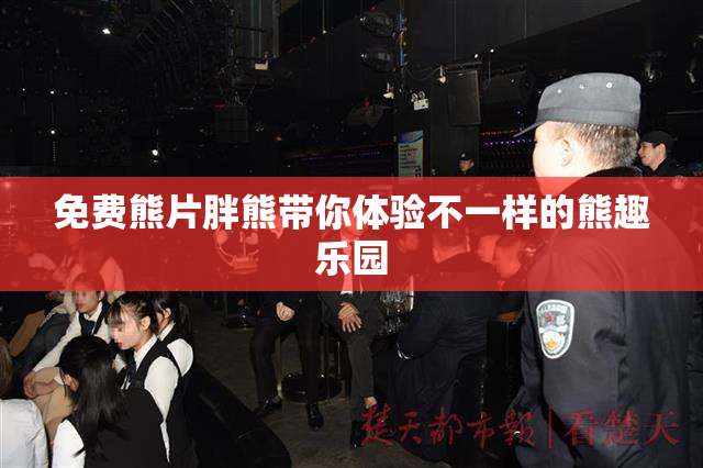 免费熊片胖熊带你体验不一样的熊趣乐园