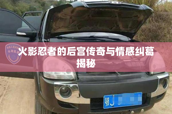 火影忍者的后宫传奇与情感纠葛揭秘