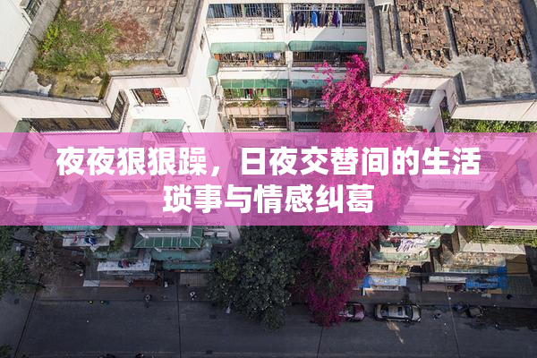 夜夜狠狠躁，日夜交替间的生活琐事与情感纠葛