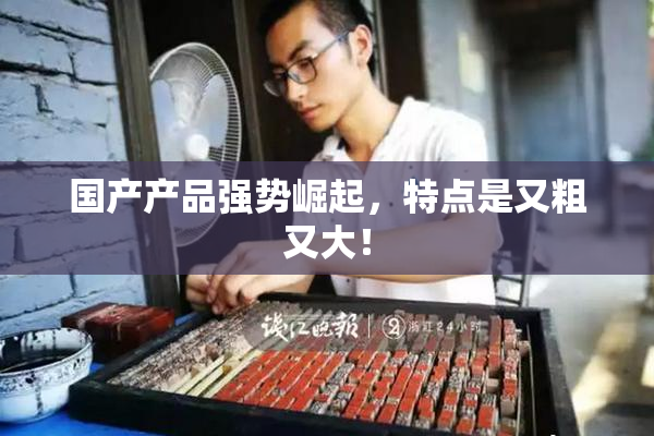 国产产品强势崛起，特点是又粗又大！