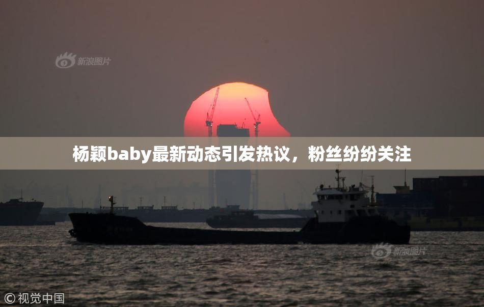 杨颖baby最新动态引发热议，粉丝纷纷关注
