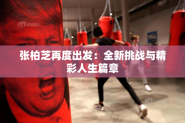 张柏芝再度出发：全新挑战与精彩人生篇章