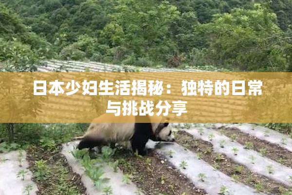 日本少妇生活揭秘：独特的日常与挑战分享
