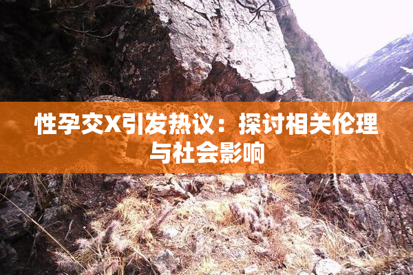 性孕交X引发热议：探讨相关伦理与社会影响