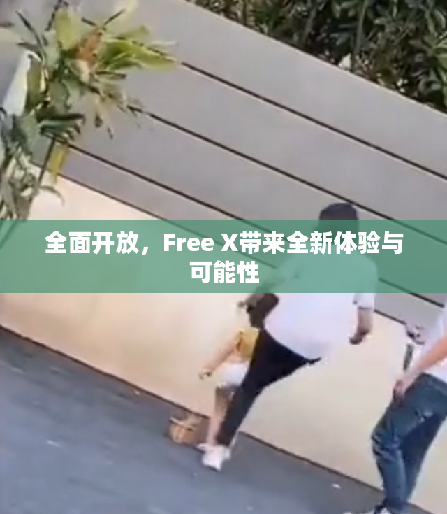 全面开放，Free X带来全新体验与可能性