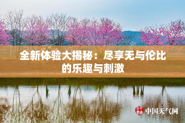 全新体验大揭秘：尽享无与伦比的乐趣与刺激