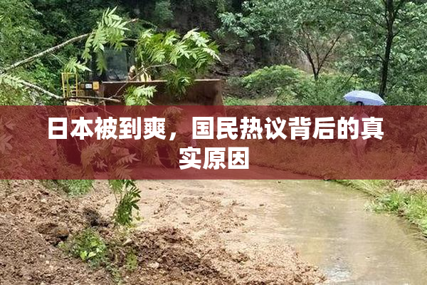 日本被到爽，国民热议背后的真实原因