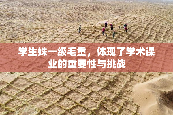 学生姝一级毛重，体现了学术课业的重要性与挑战