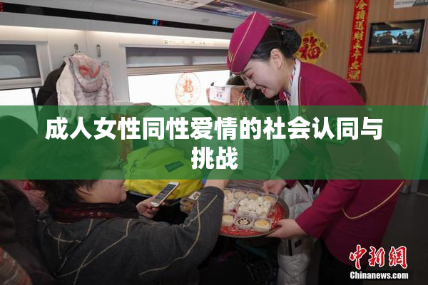 成人女性同性爱情的社会认同与挑战