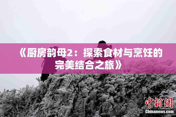 《厨房韵母2：探索食材与烹饪的完美结合之旅》
