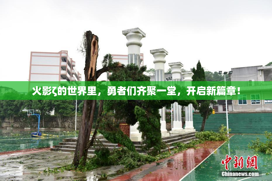 火影ζ的世界里，勇者们齐聚一堂，开启新篇章！