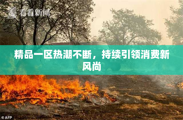精品一区热潮不断，持续引领消费新风尚
