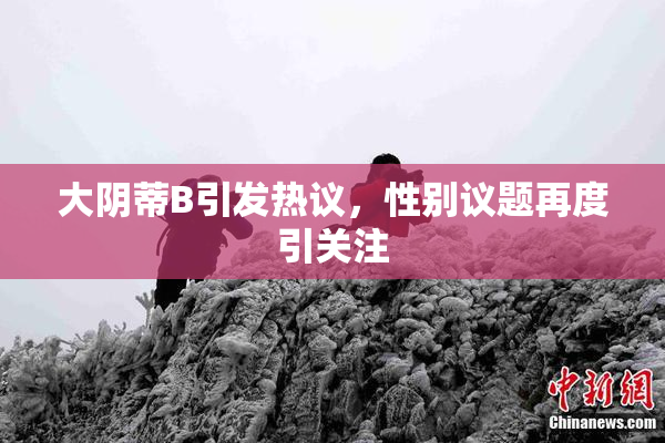 大阴蒂B引发热议，性别议题再度引关注