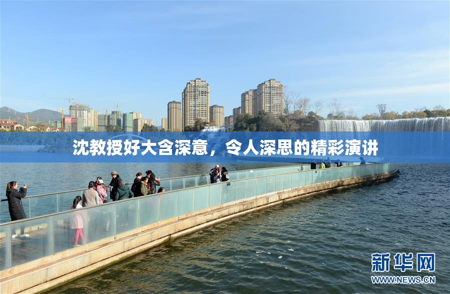 沈教授好大含深意，令人深思的精彩演讲