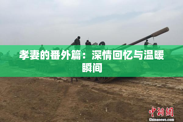 孝妻的番外篇：深情回忆与温暖瞬间