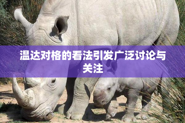 温达对格的看法引发广泛讨论与关注