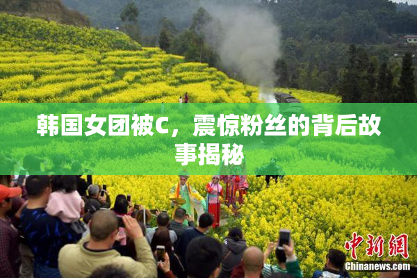 韩国女团被C，震惊粉丝的背后故事揭秘