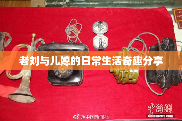 老刘与儿媳的日常生活奇趣分享