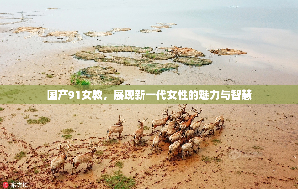 国产91女教，展现新一代女性的魅力与智慧