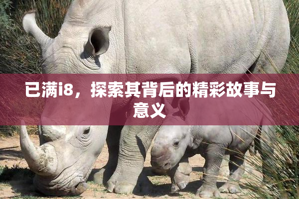 已满i8，探索其背后的精彩故事与意义