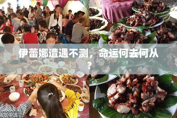 伊蕾娜遭遇不测，命运何去何从？