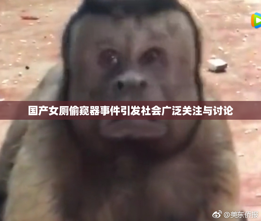 国产女厕偷窥器事件引发社会广泛关注与讨论