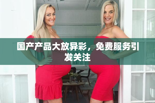国产产品大放异彩，免费服务引发关注