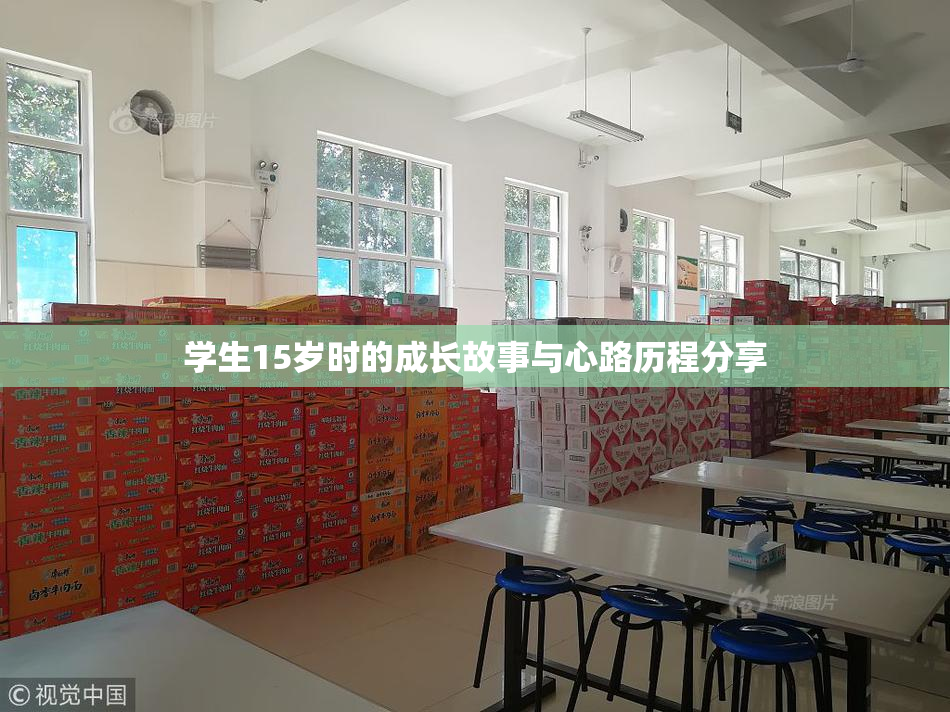 学生15岁时的成长故事与心路历程分享