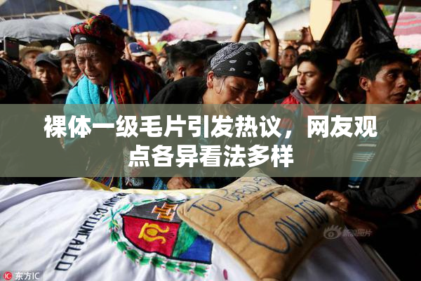 裸体一级毛片引发热议，网友观点各异看法多样